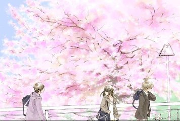 花季传媒免费观看入口